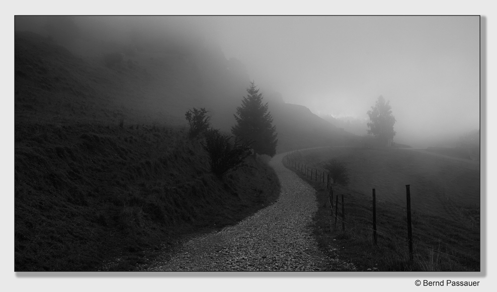 Der Weg in den Nebel