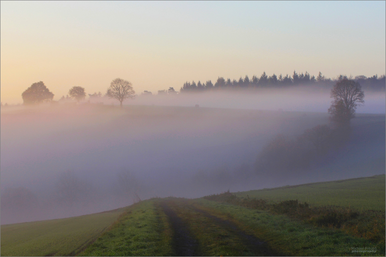 Der Weg in den Nebel