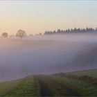 Der Weg in den Nebel