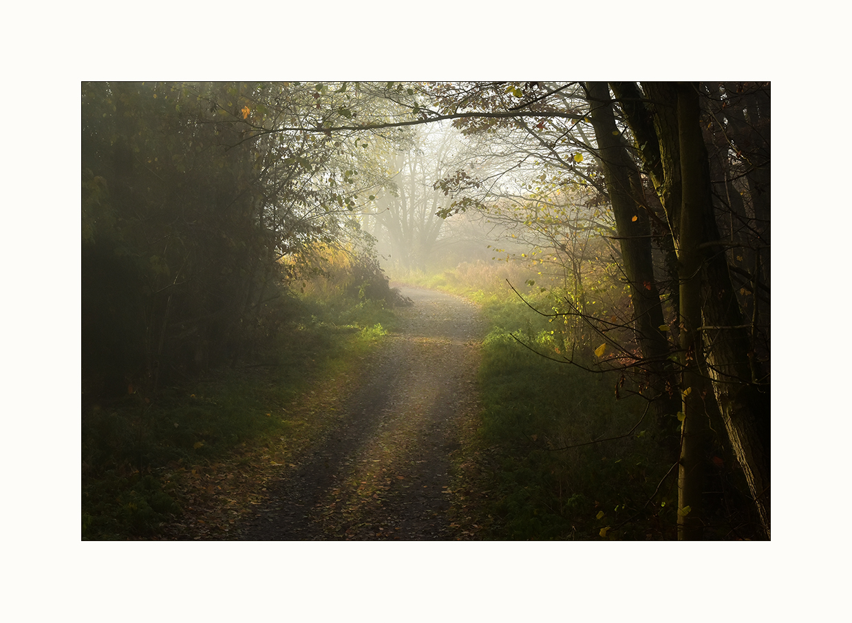 Der Weg in den Nebel