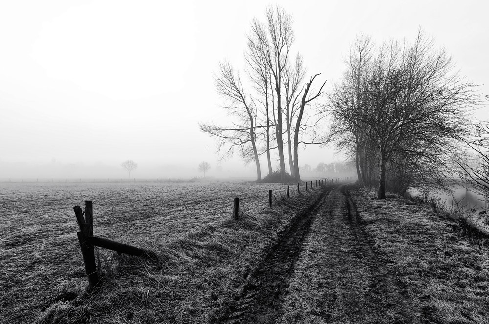 Der Weg in den Nebel