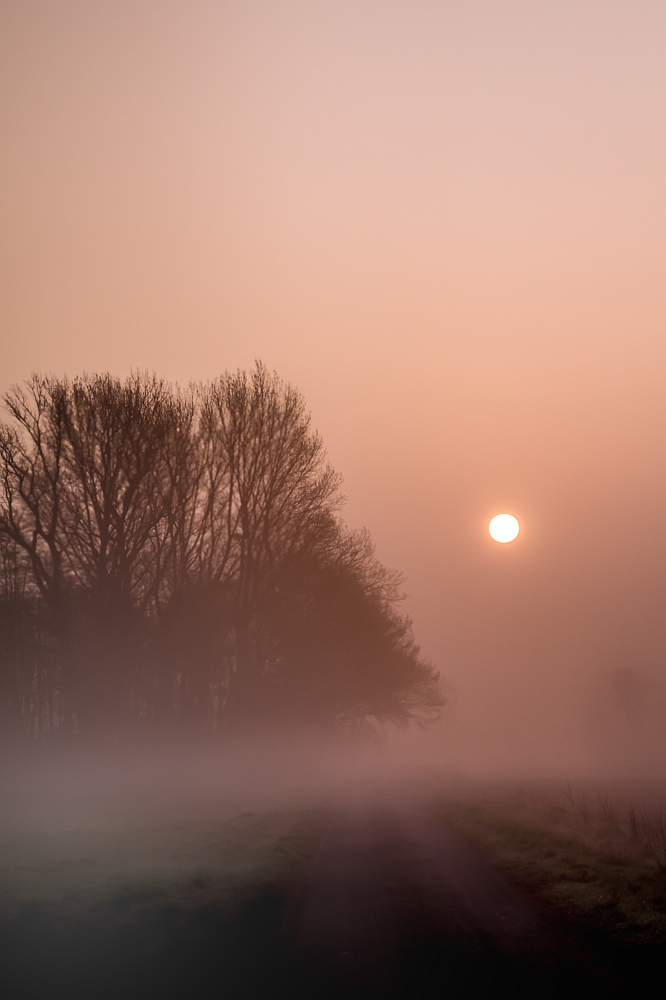 Der Weg in den Nebel