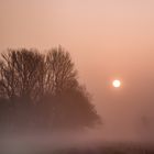 Der Weg in den Nebel