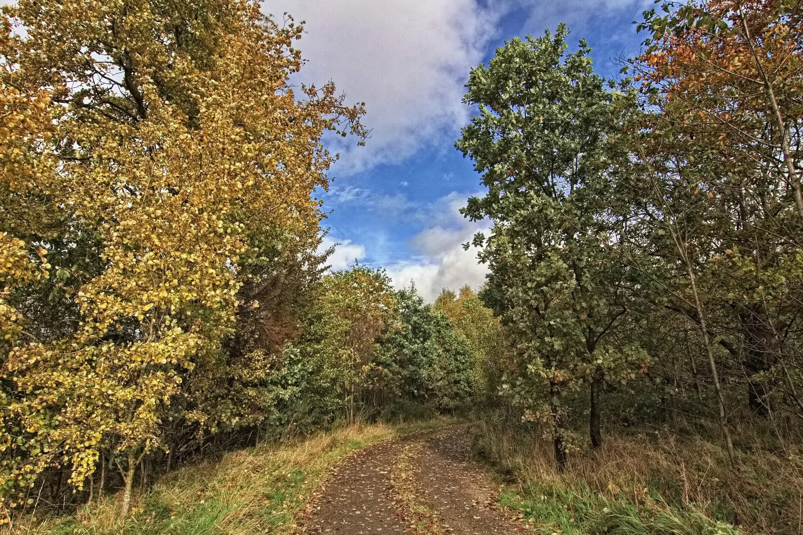 Der Weg in den November