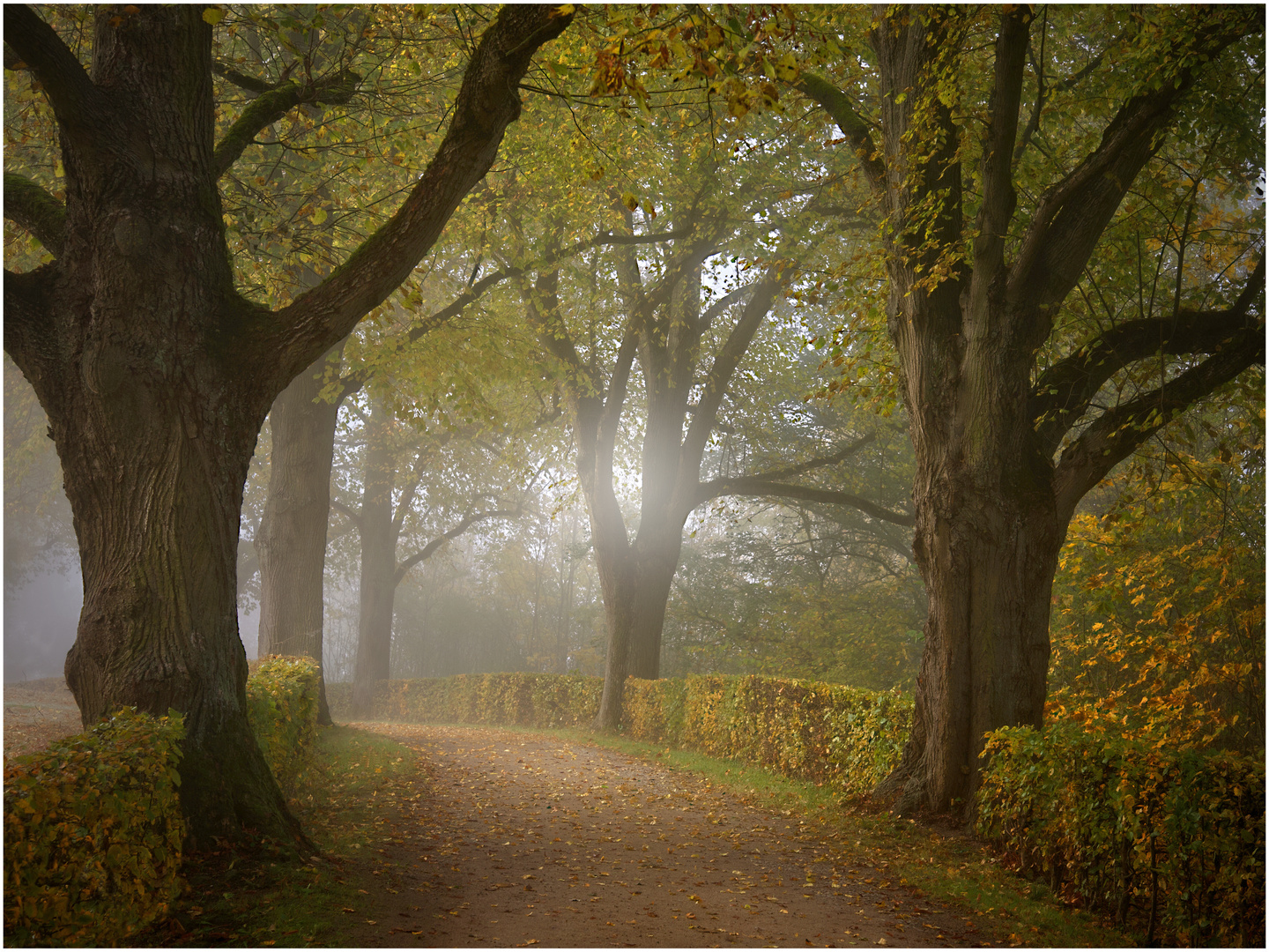 Der Weg in den November 