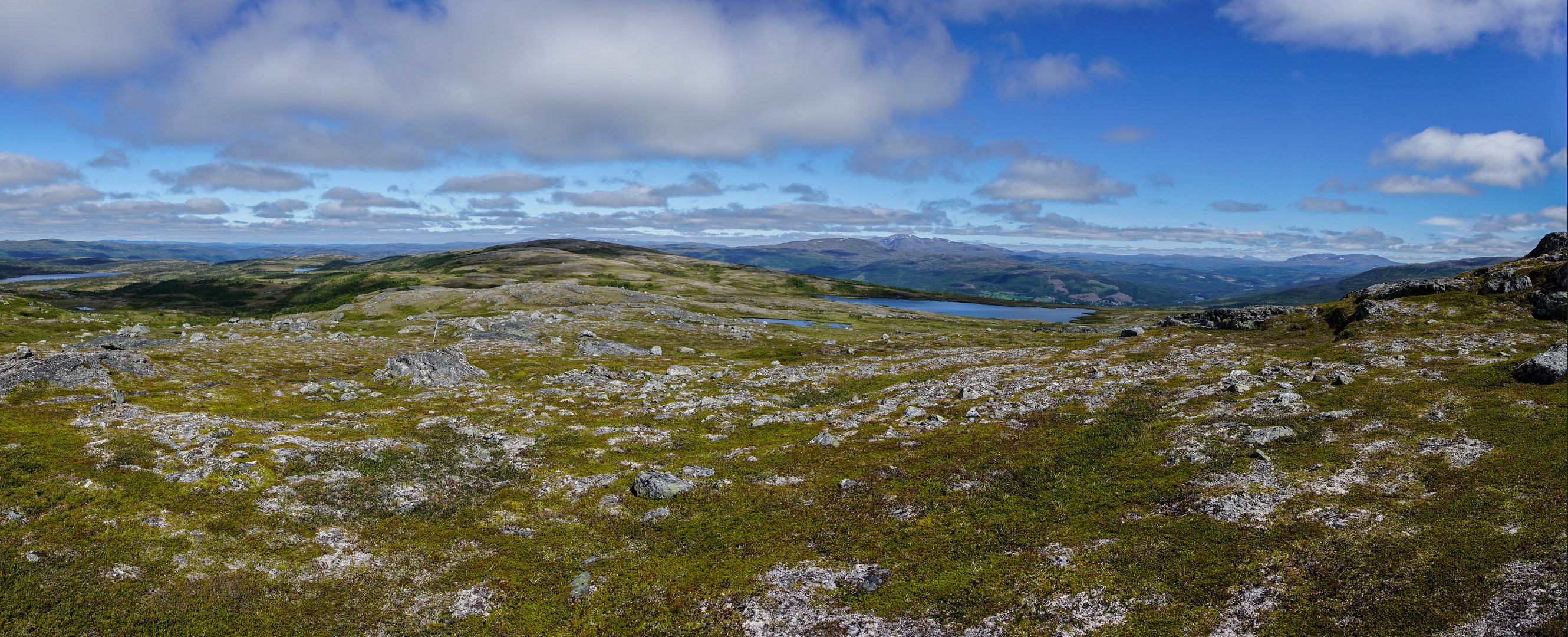 Der Weg in den Skarvan og Roltdalen Nationalpark