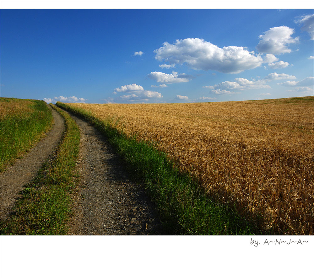 * Der Weg in den Sommer...*