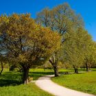 Der Weg in den Stadtpark