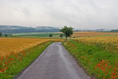 Der Weg in den Tag