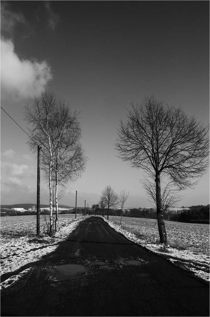 Der Weg in den Wald