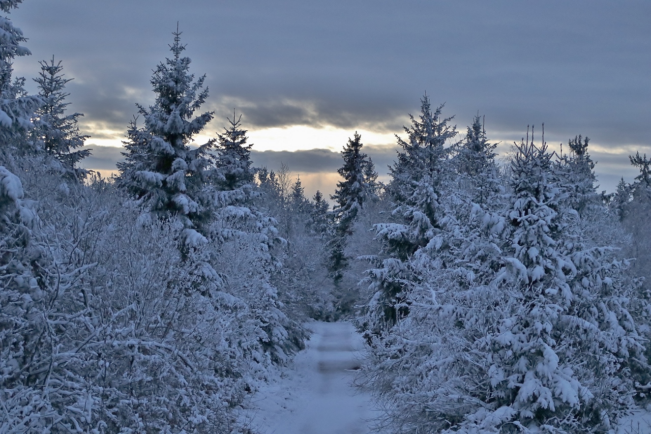 Der Weg in den Winter...