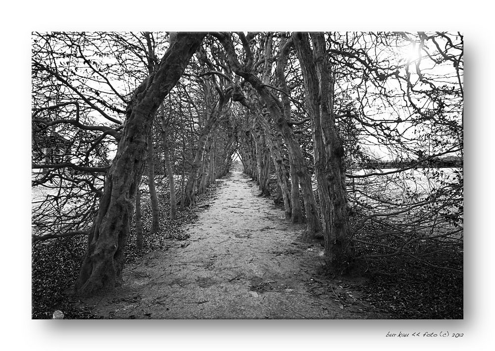 Der Weg in den Winter