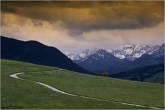 Der Weg in die Berge ...