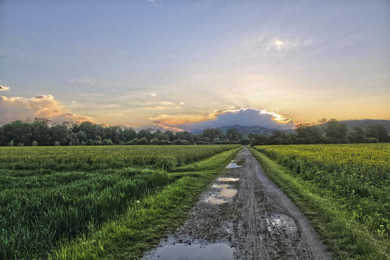 Der Weg in die Ferne