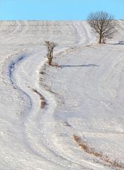 Der Weg in die Ferne