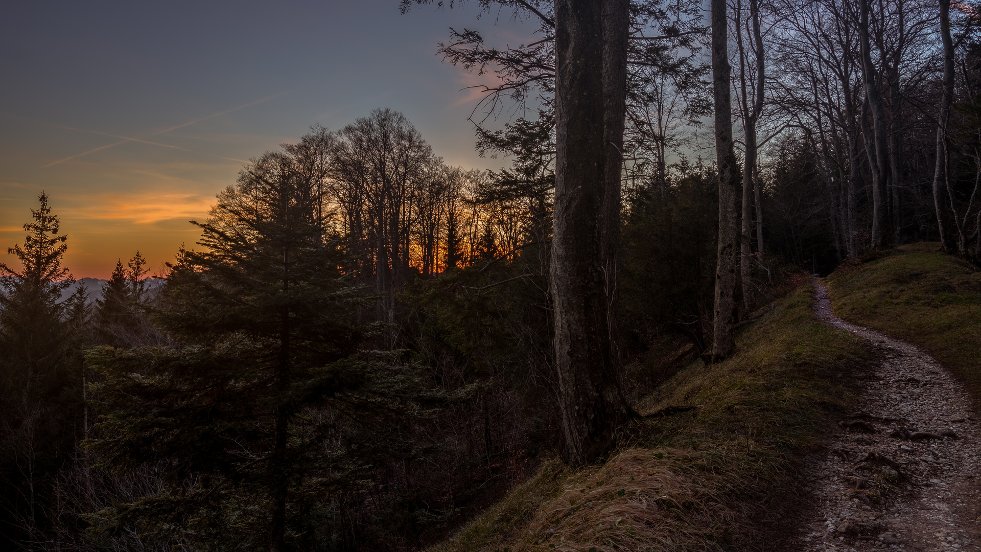 Der Weg in die Finsternis