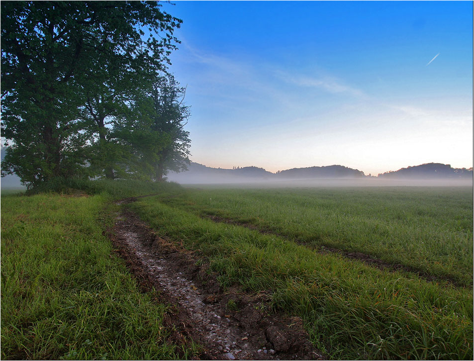 Der Weg in die Frühnebelbank