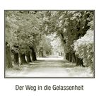 Der Weg in die Gelassenheit