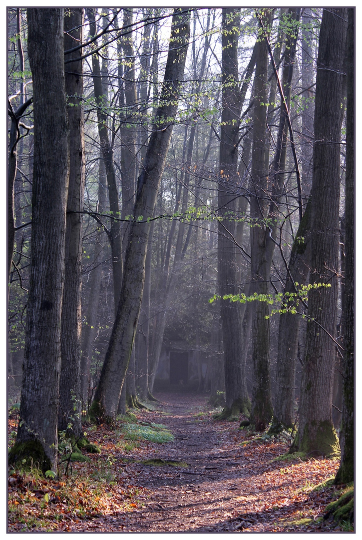 Der Weg in die Gruft 