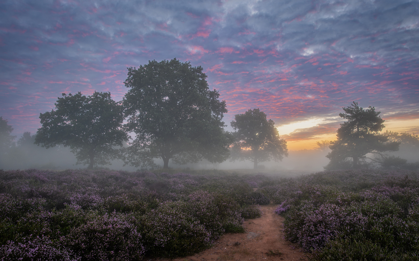 Der Weg in die Heide