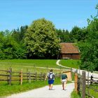 der Weg in die Kirche…,