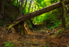 Der Weg in die Klamm