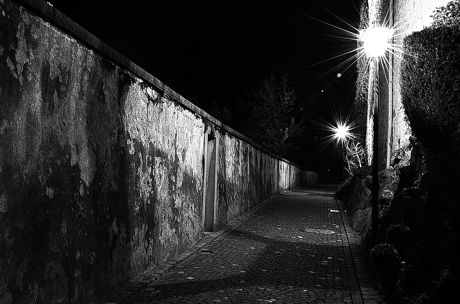 der Weg in die Nacht