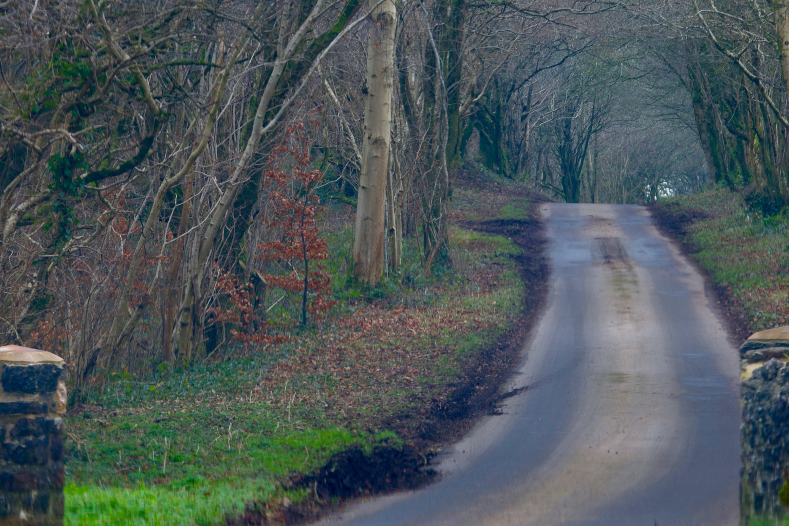 Der weg in die  Natur