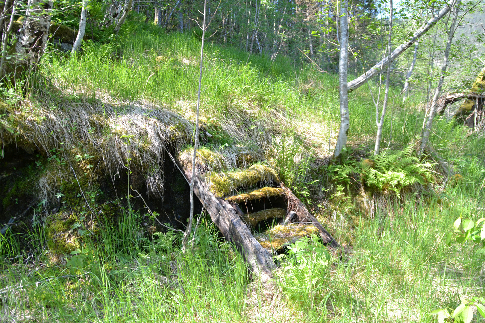 Der Weg in die Natur