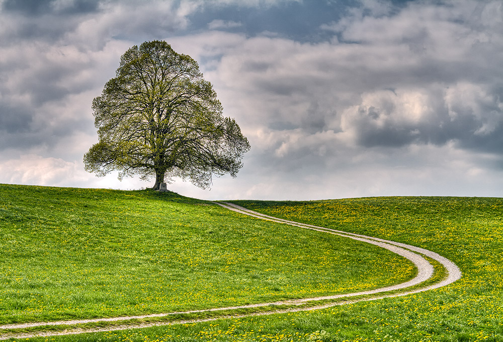 Der Weg in die Natur