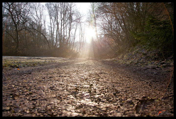 Der Weg in die Natur