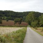 Der Weg in die Natur