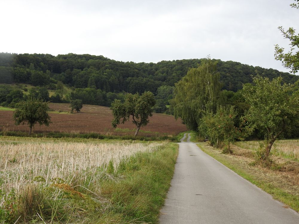 Der Weg in die Natur