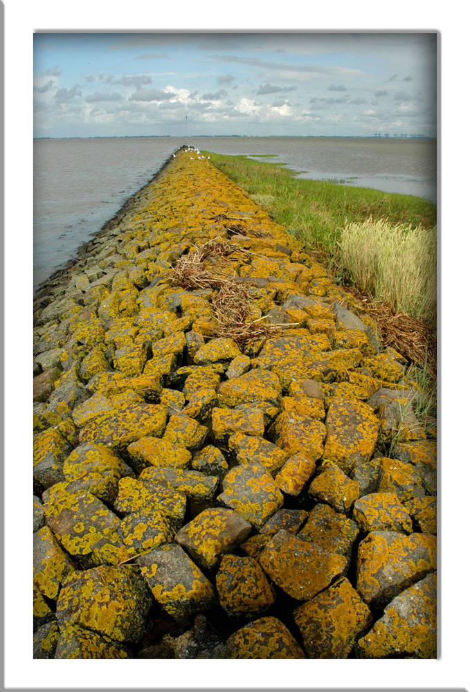 Der Weg in die Nordsee