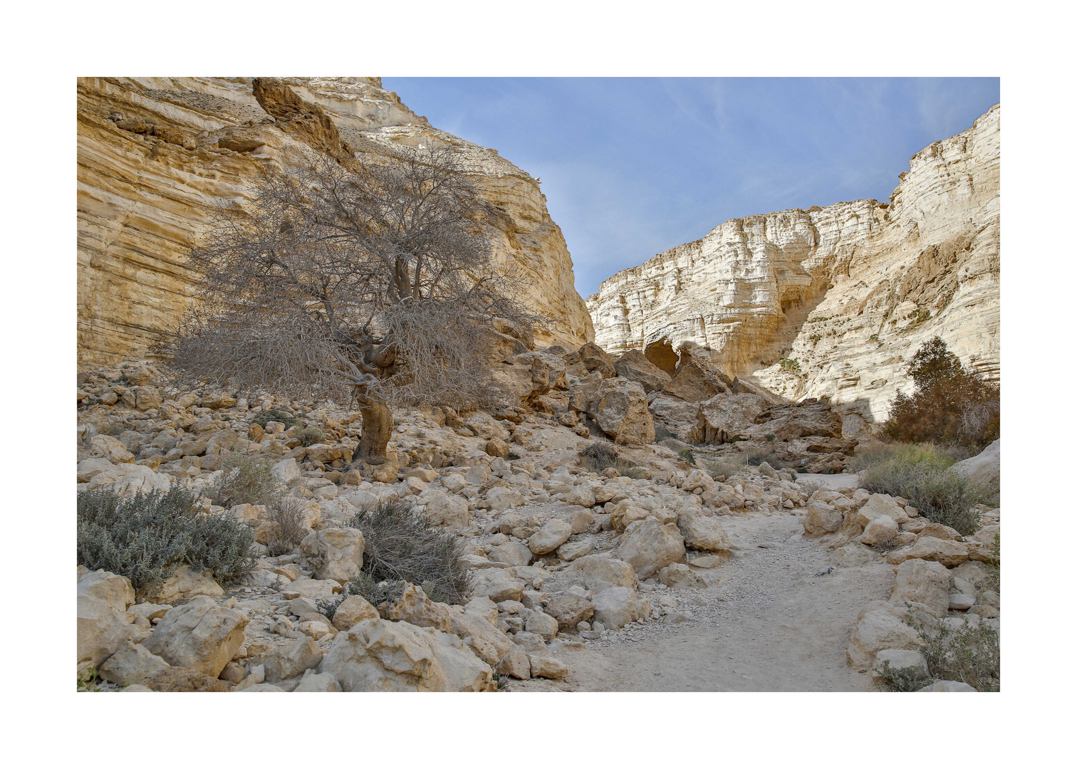 Der Weg in die Schlucht