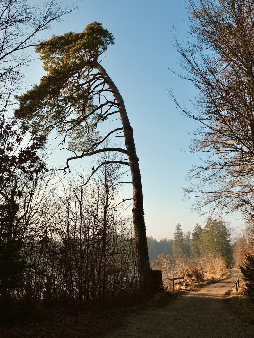 Der Weg in die Sonne