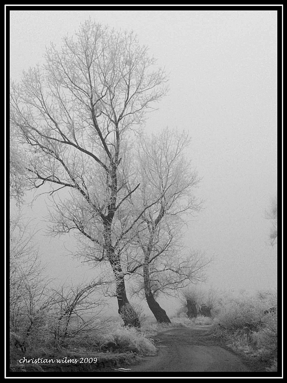 Der Weg in die Unendlichkeit.....