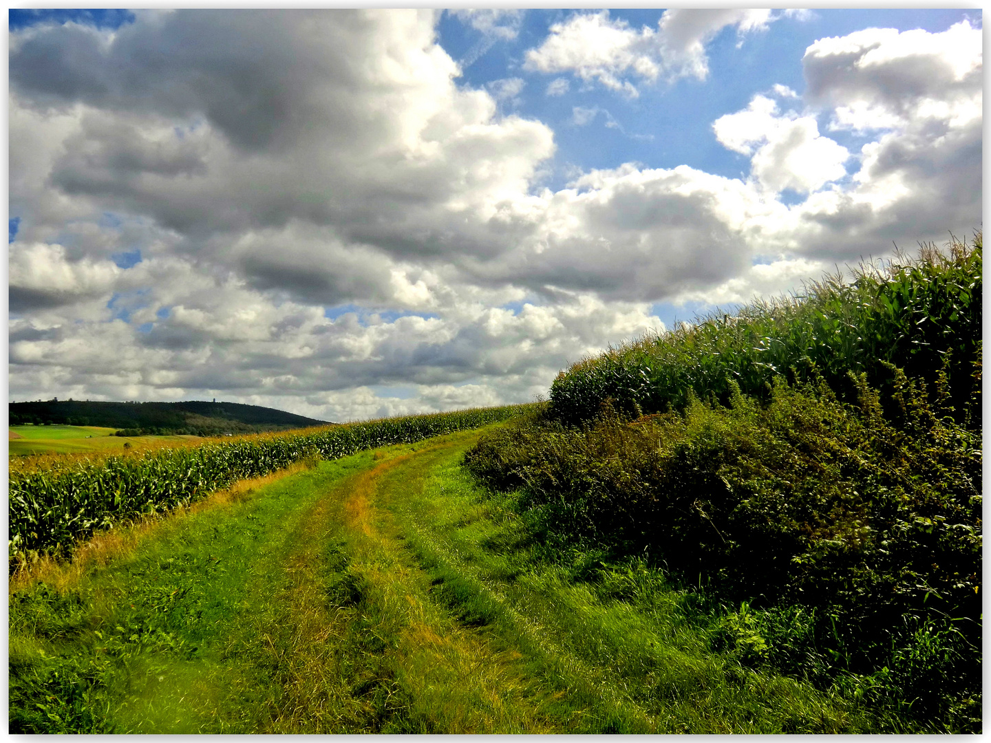 Der Weg in die Wolken