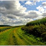 Der Weg in die Wolken