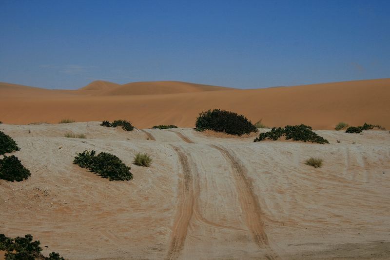 Der Weg in die Wüste