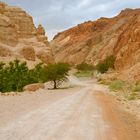 Der Weg in die Wüste(n-landschaft)