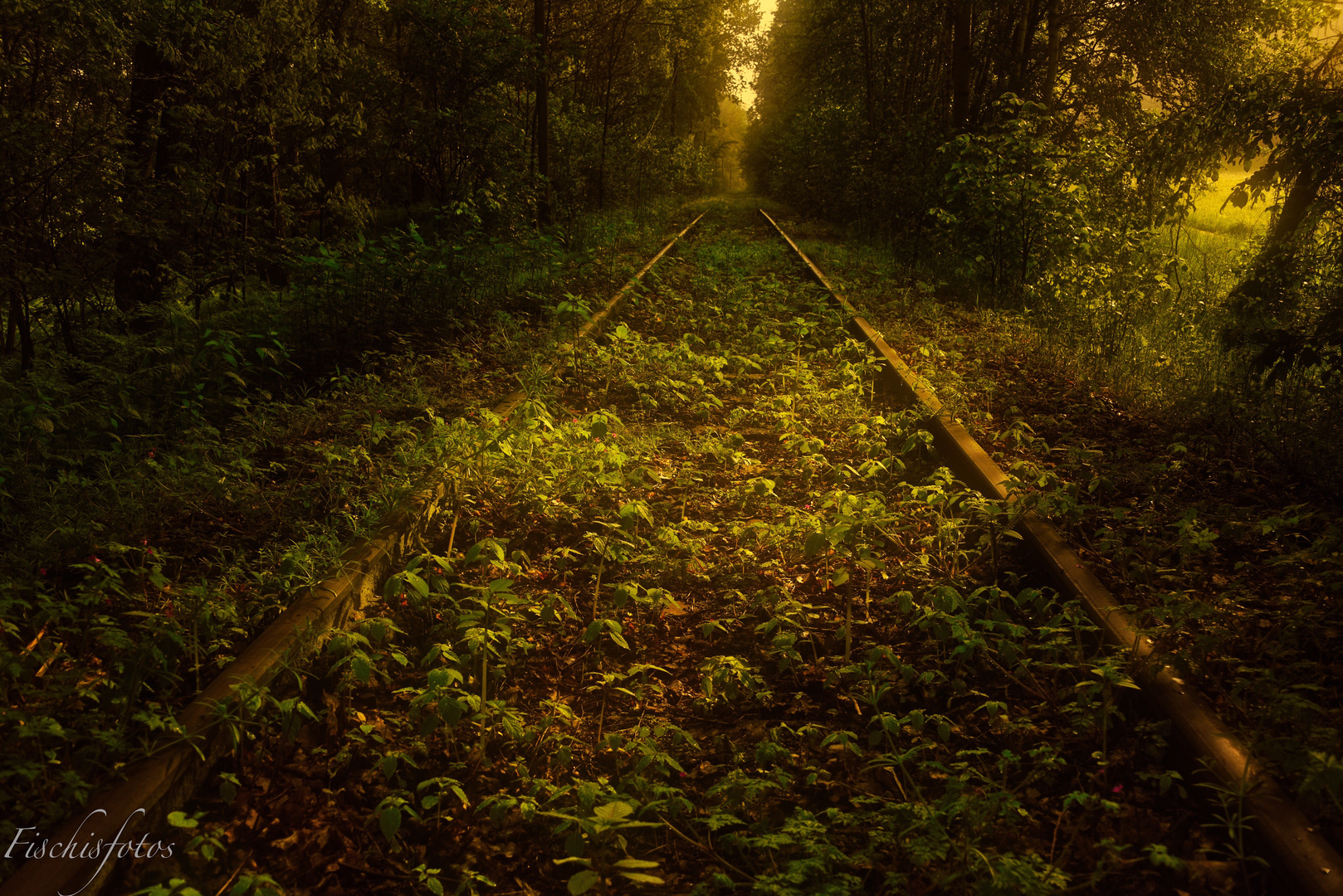 Der Weg in die Zukunft 