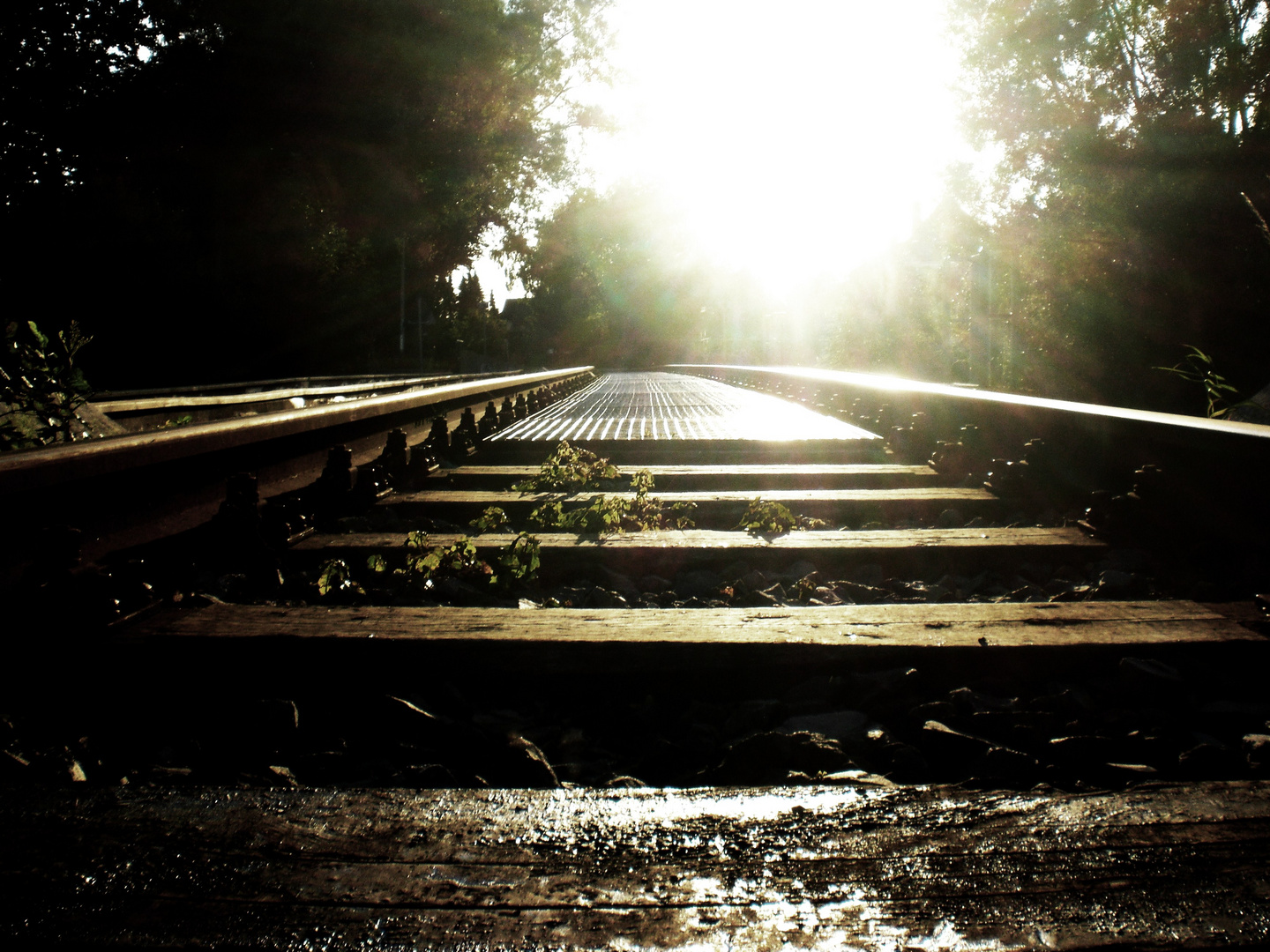 Der Weg in ein neues Leben.