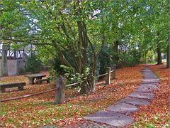 Der Weg in eine neue Jahreszeit