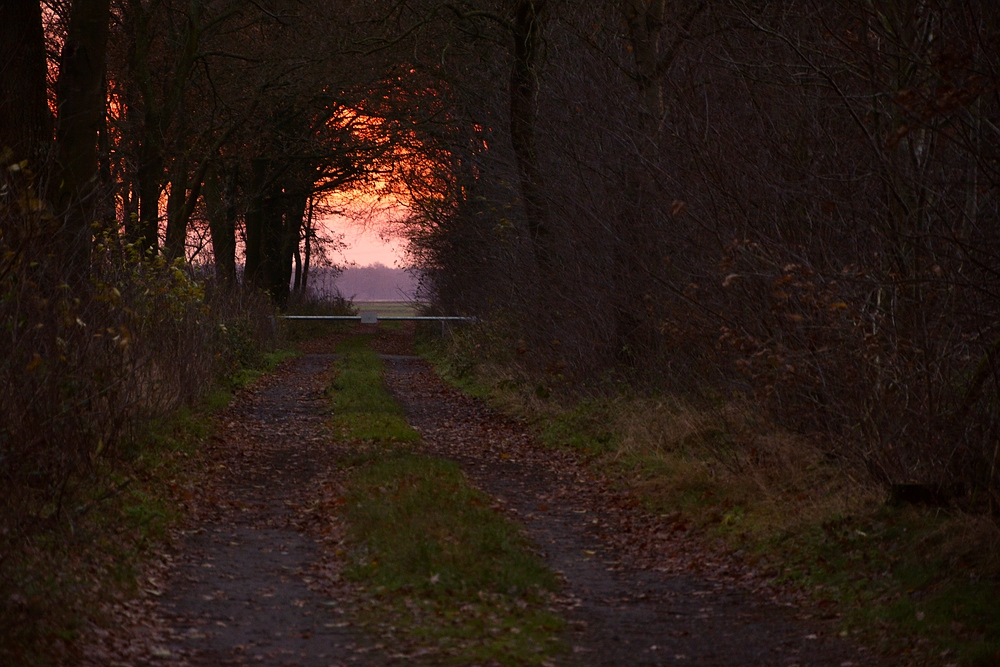 Der Weg in Licht ist versperrt