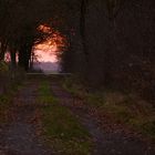 Der Weg in Licht ist versperrt