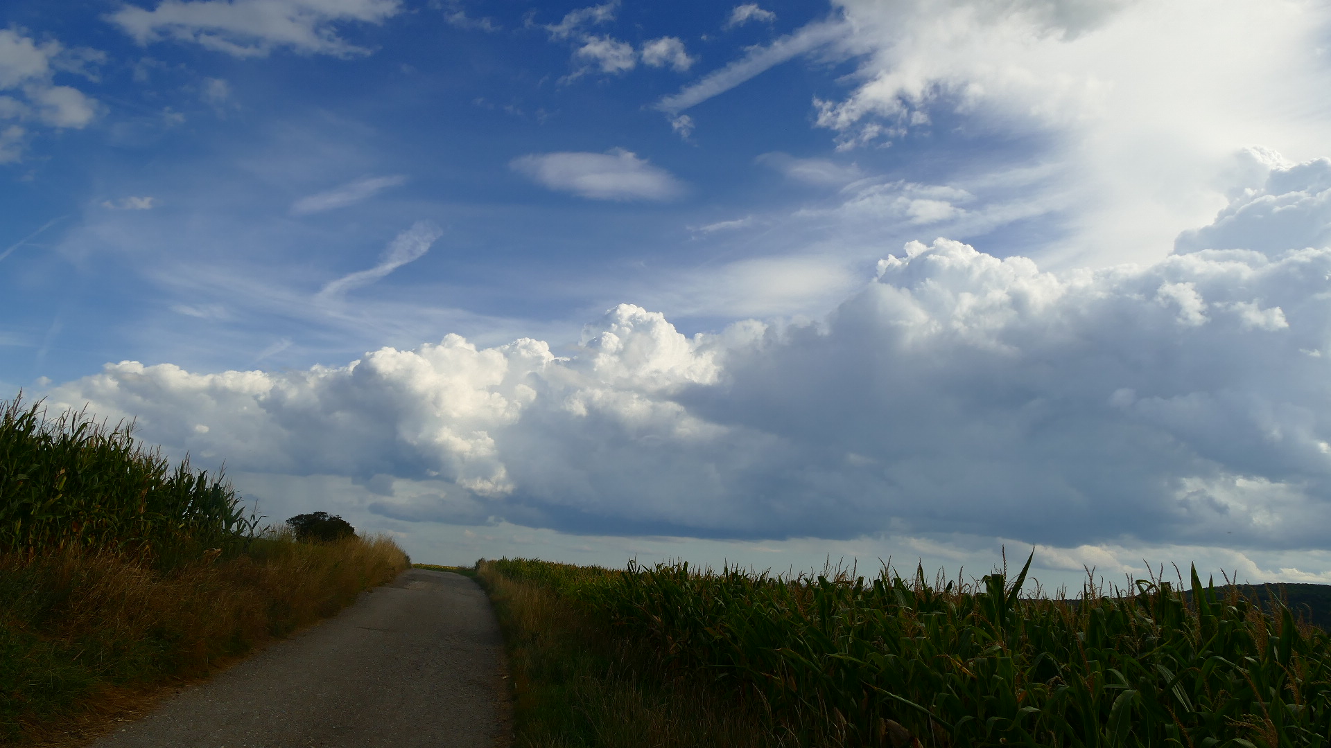 Der Weg ins Blau