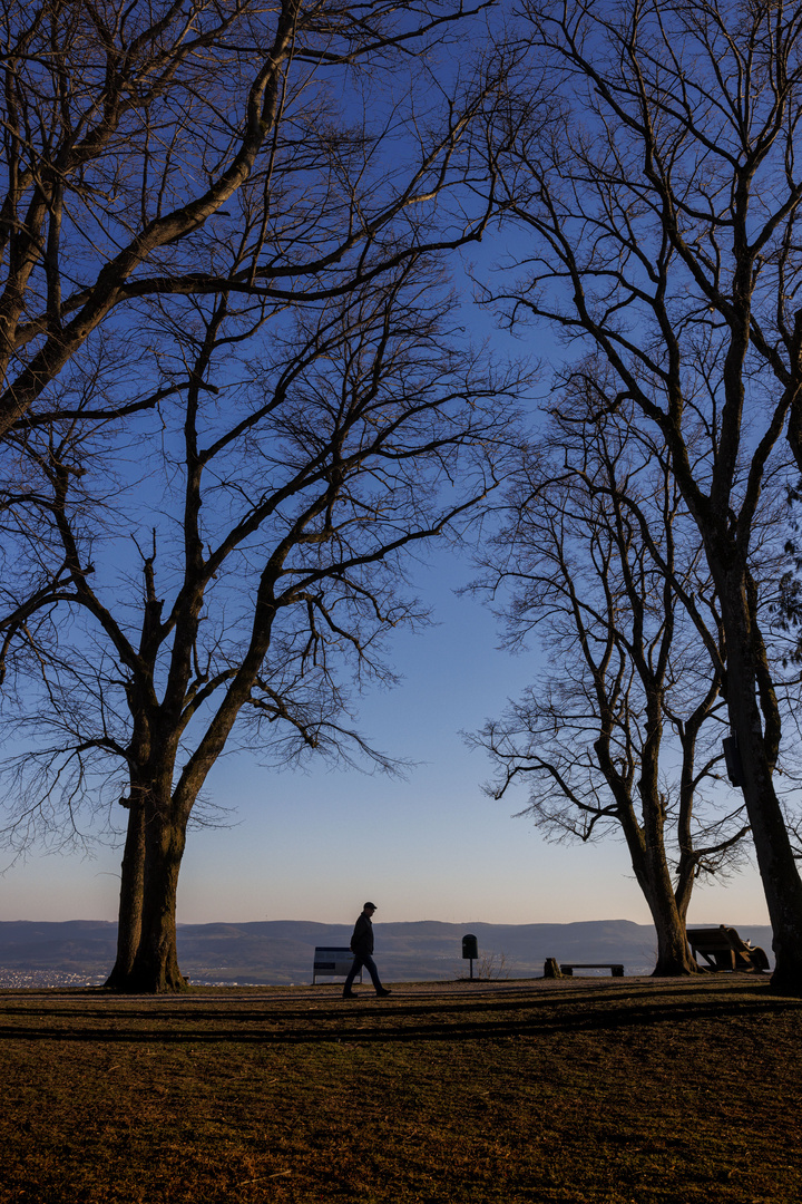 Der Weg ins Blau