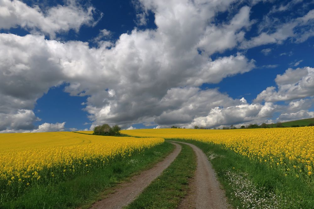 Der Weg in`s Blaue