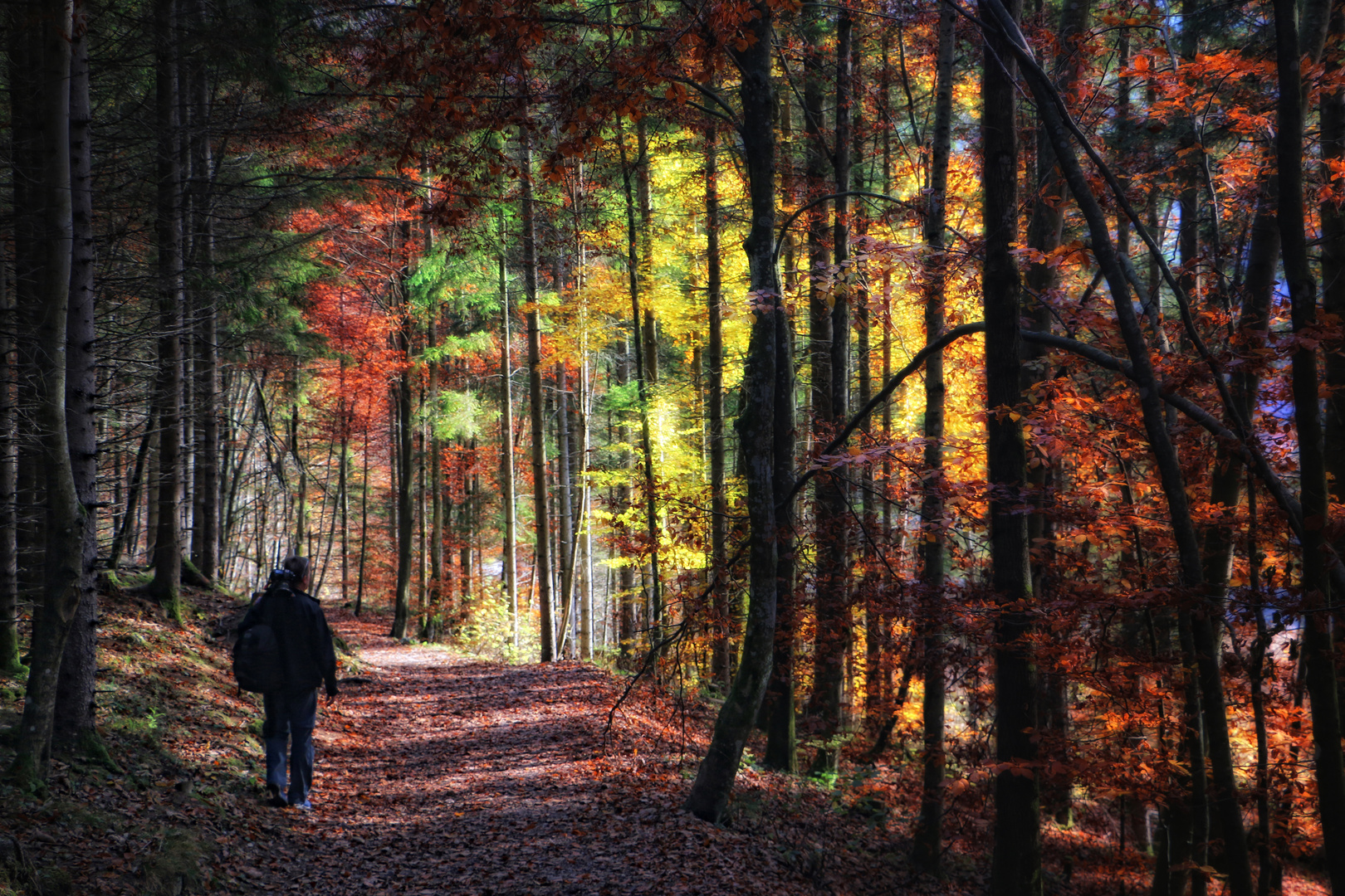 Der Weg ins bunte Licht